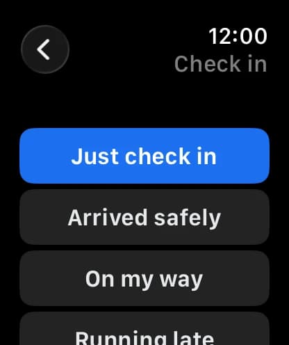 A list of check-ins to choose from: Just check in, Arrived safely, On my way, Running late.