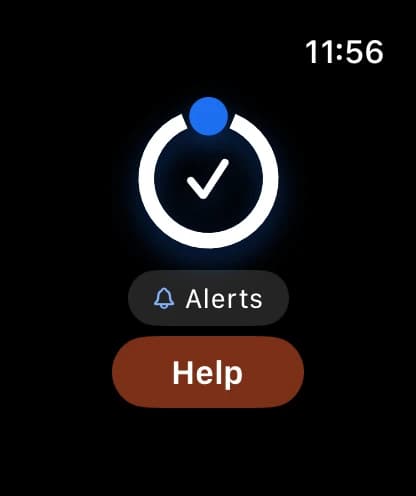 The watch's home screen: a check-in ring, an Alerts button, and a Help button beneath them.