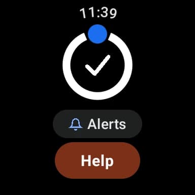 The watch's home screen: a check-in ring, an Alerts button, and a Help button beneath them.